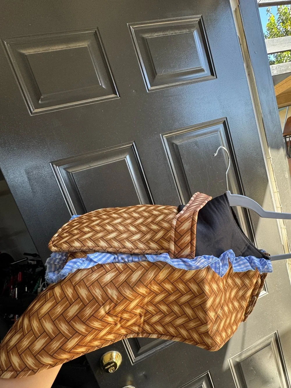 Dog Costume Basket